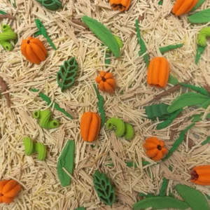Smysldóza Dýňová farma, 500g