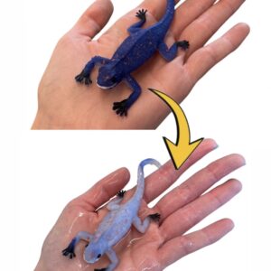 Ještěrka měnící barvu