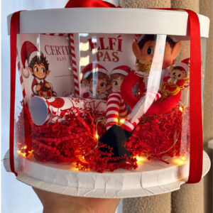 Vánoční Elf v boxu